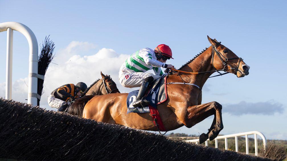 American Mike returns to form in the Ten Up Novice Chase