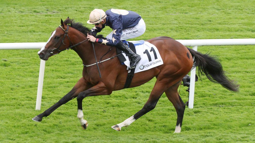 Champers Elysees: turned the spotlight on Aughamore Stud as a producer of Group 1 stock