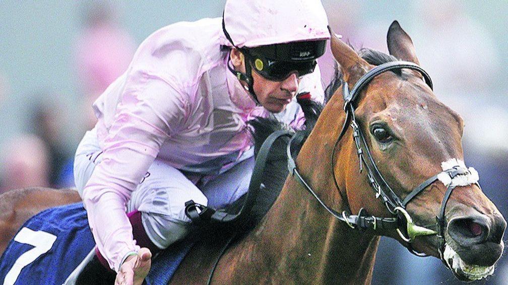 So Mi Dar: set for a drop in trip for Sun Chariot Stakes