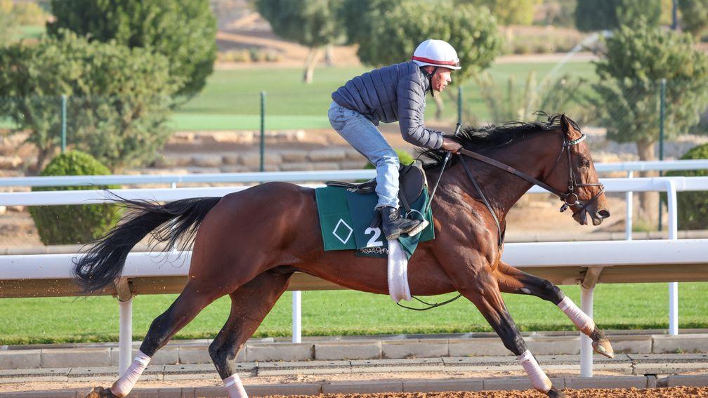 Art Collector, pictured during training at last year's Saudi Cup, was a ready winner of the Pegasus World Cup on Saturday