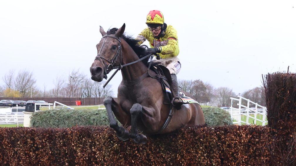 Could Protektorat be the answer in a wide-open running of the Cheltenham Gold Cup?