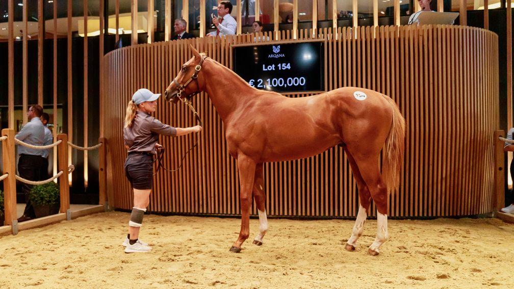 The session-topping Siyouni colt out of Starlet's Sister at Arqana