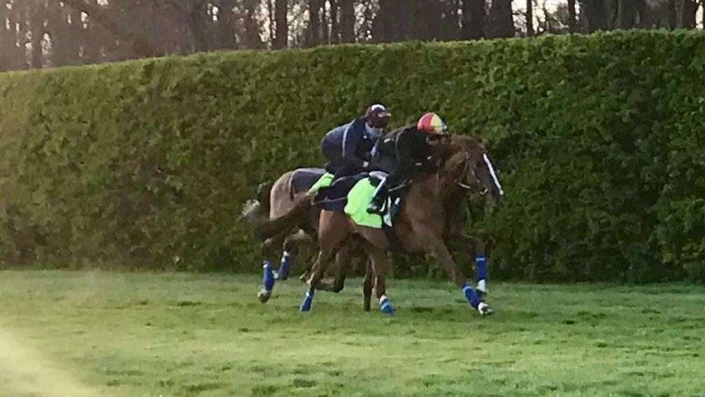 Stradivarius and Frankie Dettori were in action on the Limekilns round gallop