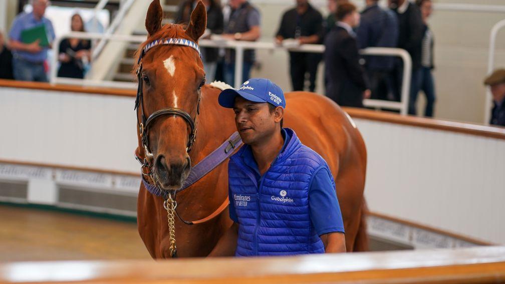 Tabaretta topped trade at the Tattersalls July Sale on Friday