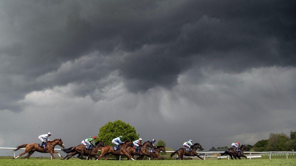 Lingfield: understood to be one of the tracks that could be used for racing's return