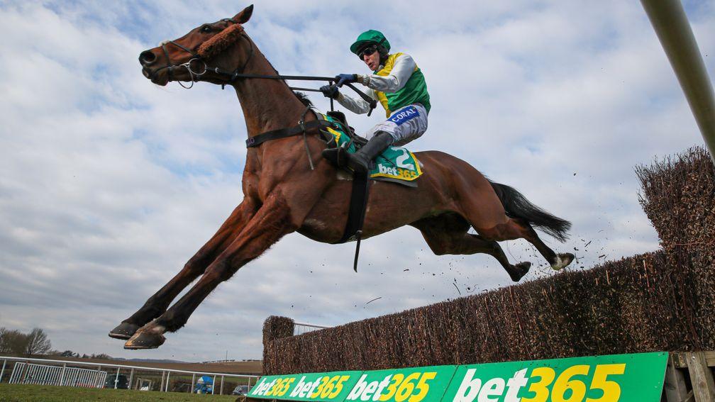 Cloth Cap: strong favourite for the Grand National after an imperious prep run at Kelso