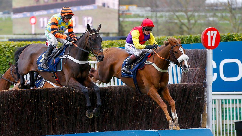 Might Bite giving his all against Native River in the Cheltenham Gold Cup