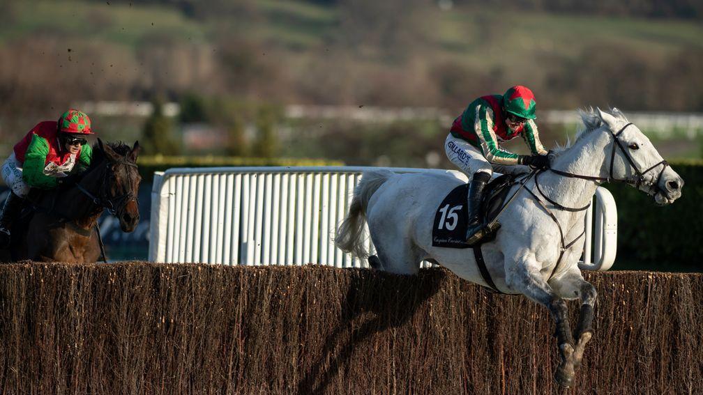 Warthog put his best foot forward to take the Caspian Caviar Gold Cup at Cheltenham