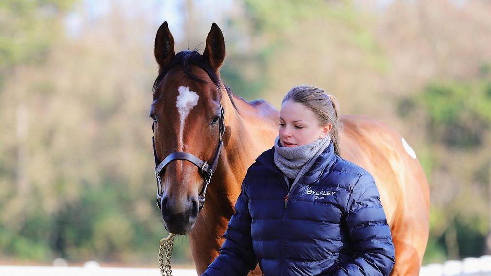 Laura Clifford-Ward: 'It's great seeing the foals develop and learn.'