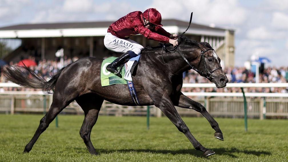 Roaring Lion: the Royal Lodge winner may be heading to the Breeders' Cup