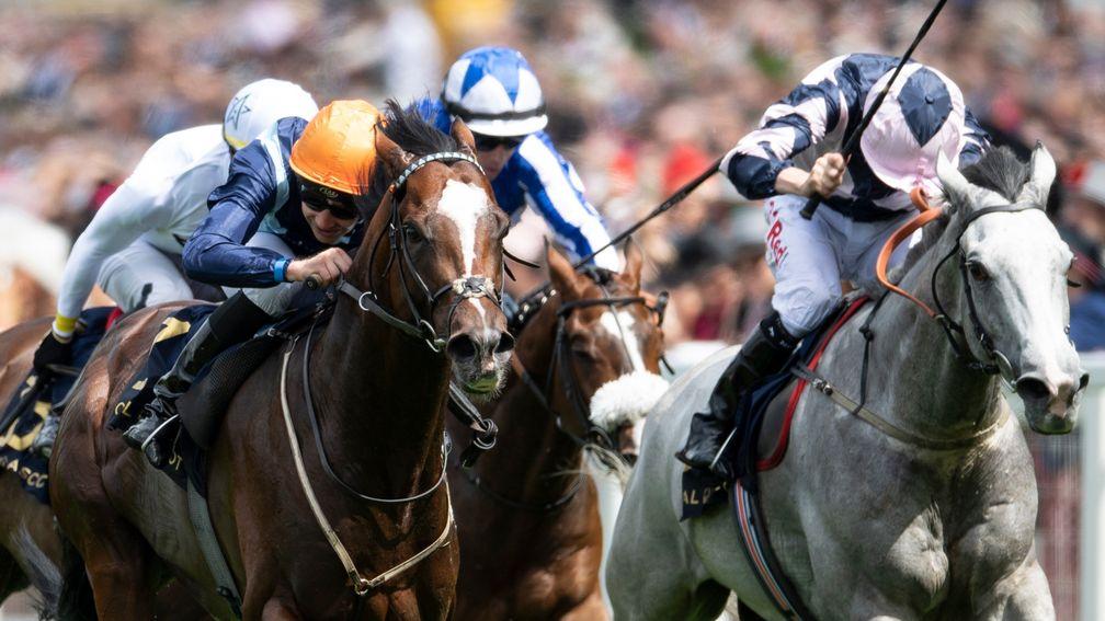 Accidental Agent (near side) wins Ascot's Queen Anne Stakes from Lord Glitters
