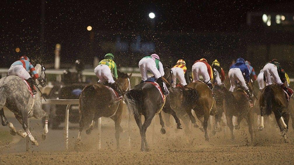 Arrogate (third left) races in last place from the break before winning the Dubai World Cup in 2017