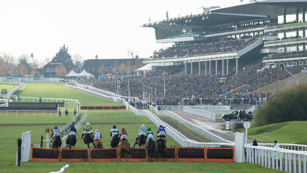 The runners in the juvenile hurdle take the 1st flight. The race was won by Allmankind (Harry Skelton)Cheltenham 16.11.19 Pic: Edward Whitaker