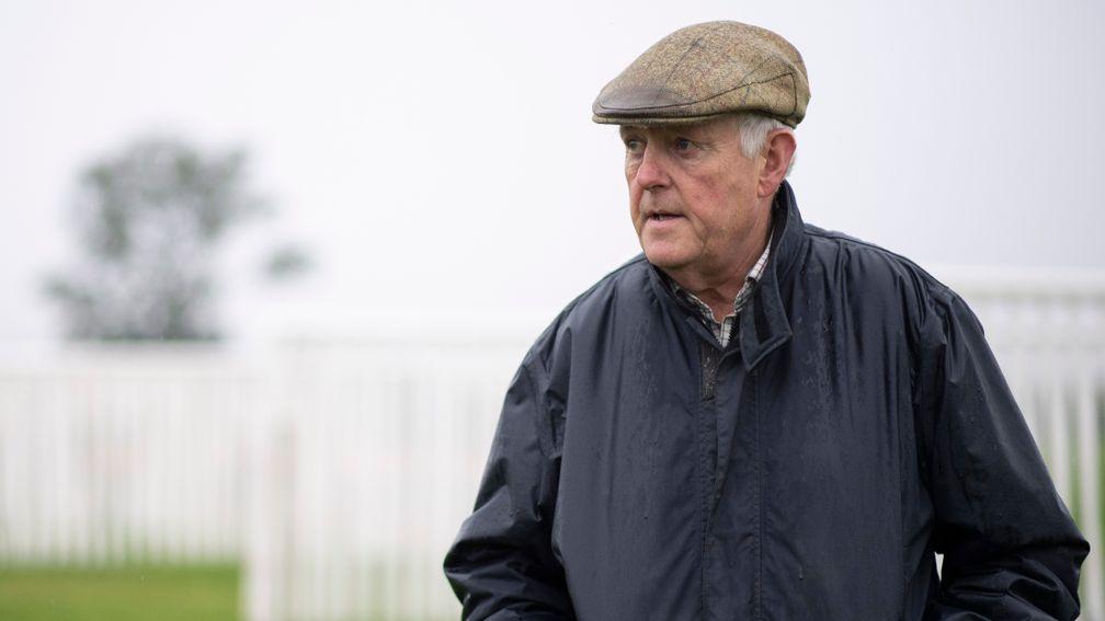 Philip Hobbs: allowed Nicky Martin to gallop Bear Ghylls on his gallops on Monday and Tuesday
