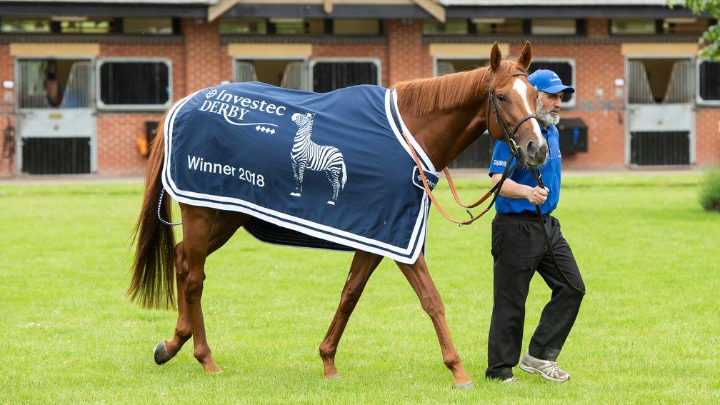 Masar, in his Epsom finery, will be in Dubai for a few months
