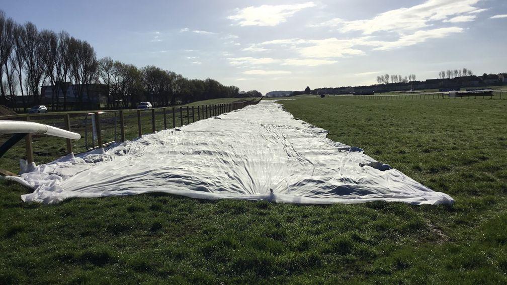 Covers encourage grass growth on part of the track where drainage work has been carried out