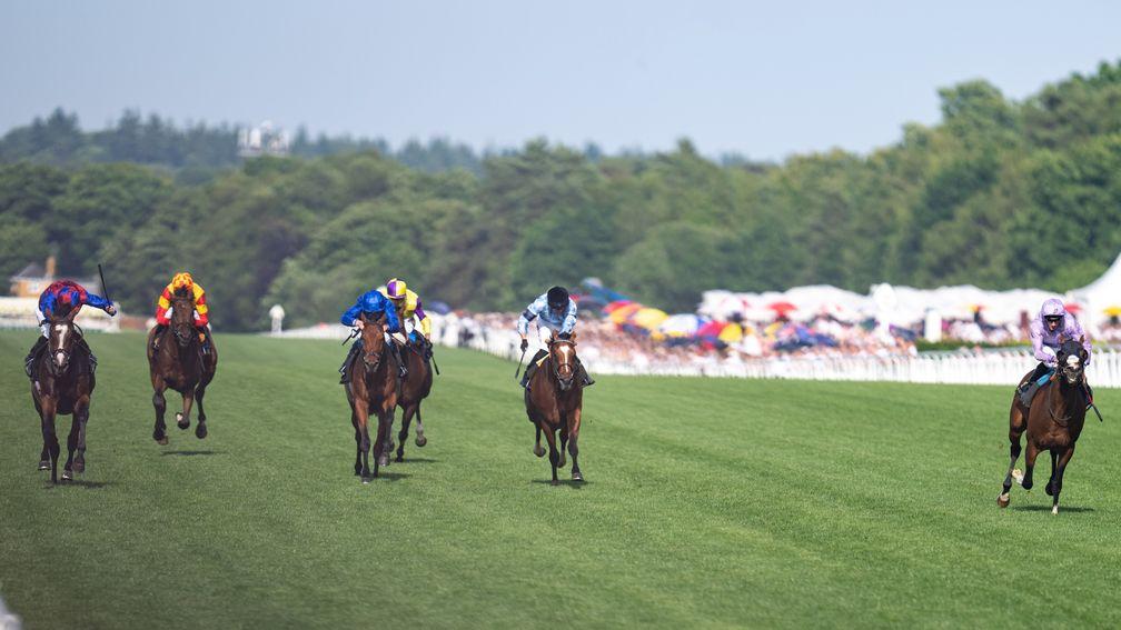 Grand Alliance (right) hangs his chance away in the King Edward VII Stakes