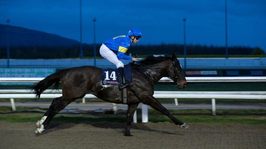Sharjah almost enjoyed a winning swansong at Dundalk on Wednesday