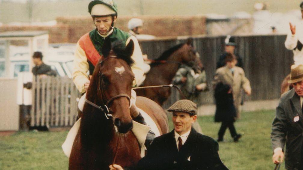 Nijinsky: heart-shaped white marking made him stand out to Julian Muscat in 1989