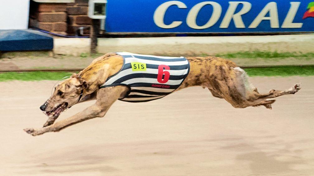 Brigadier Bullet: expected to win at Crayford on Saturday night