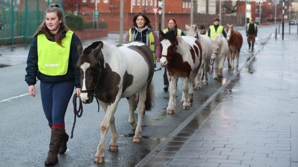 Staff and ponies make the familiar journey along the main road