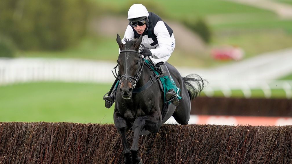 CHELTENHAM, ENGLAND - OCTOBER 22: Harry Skelton riding Third Time Lucki clear the last to win The squareintheair.com Novices' Chase at Cheltenham Racecourse on October 22, 2021 in Cheltenham, England. (Photo by Alan Crowhurst/Getty Images)