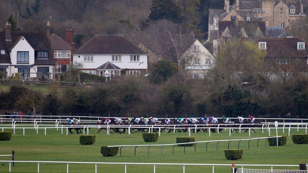 Cheltenham racecourse: recorded rainfall of 12mm over the weekend to leave the ground good to soft