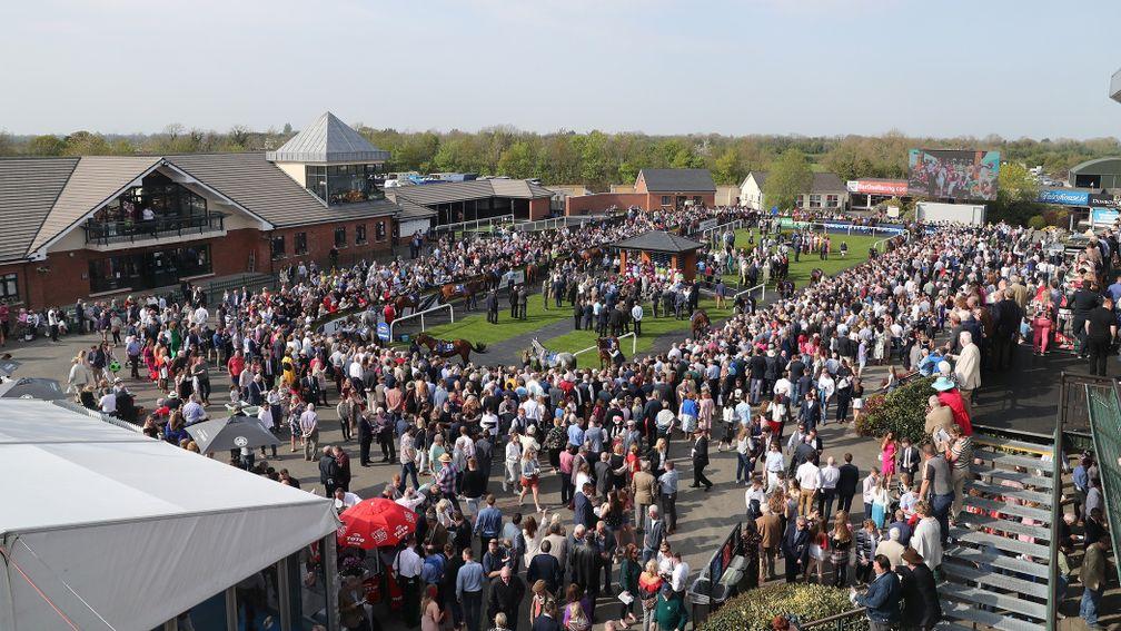 A packed parade ring area on Irish Grand National day at Fairyhouse last year