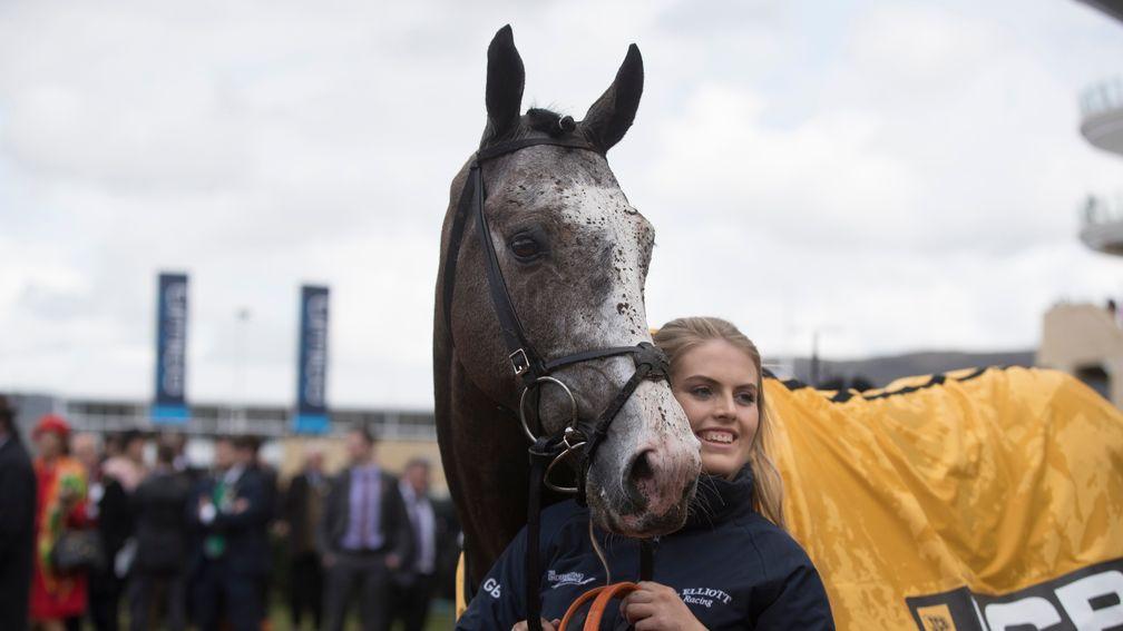 Farclas pictured with groom Georgie Benson after winning the JCB Triumph Hurdle at Cheltenham