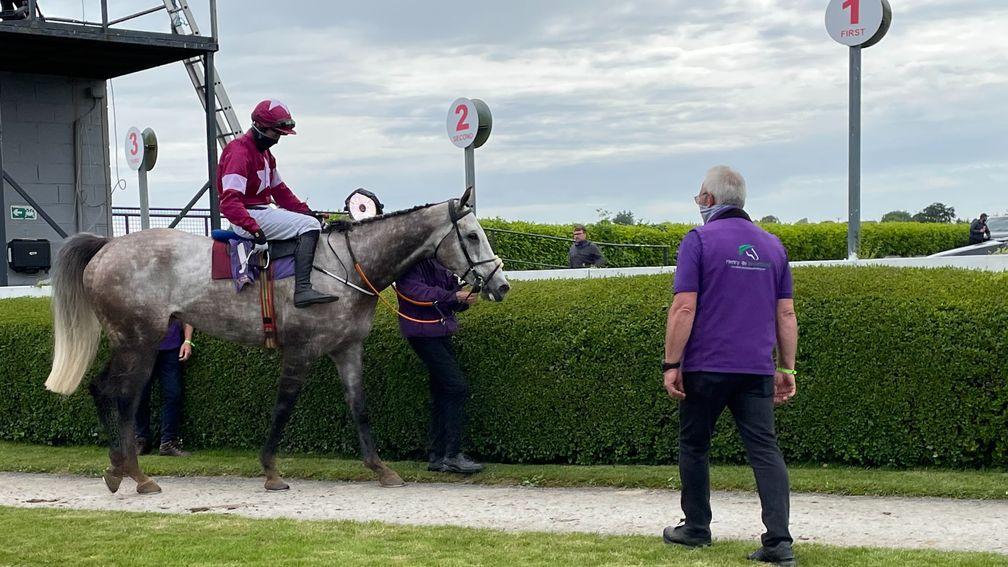 Cavalry Master and Mike O'Connor returns after landing the novice chase at Wexford