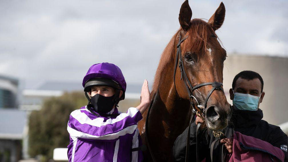 The Mediterranean: impressed when getting off the mark at Leopardstown last month
