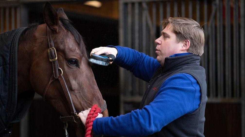 Trainer Dan Skelton puts the finishing touches to Arkle hopeful Allmankind at home