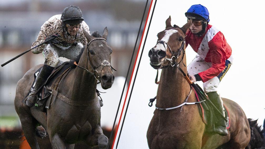 Constitution Hill (left) and Sir Gerhard could clash in the Supreme Novices' Hurdle