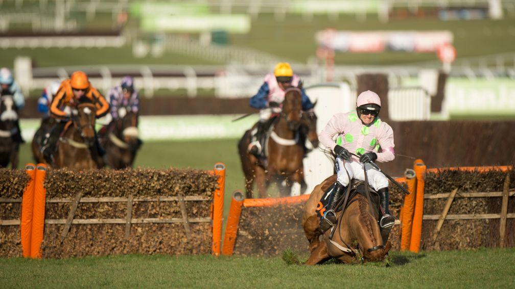 The £50 million fall: Annie Power's exit at the last in the Mares' Hurdle saved bookmakers a fortune – she was the last of four Willie Mullins favourites in an opening-day acca. Douvan, Un De Sceaux and Faugheen had all scored earlier in the day