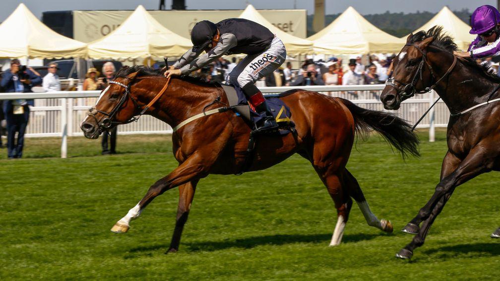 Rajasinghe: own two-year-old campaign was highlighted with a Royal Ascot victory