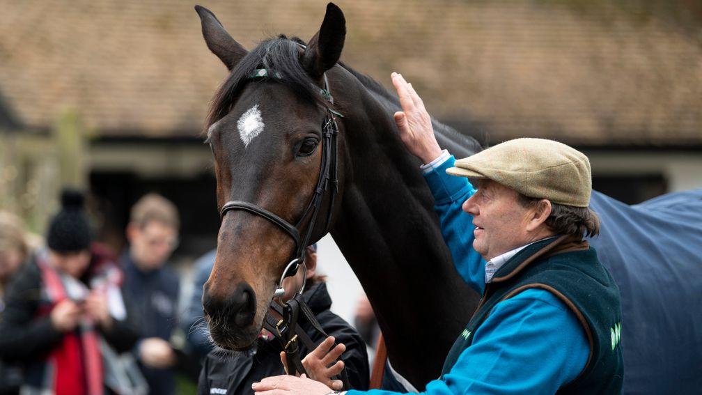 Champions both: Altior and an admiring Nicky Henderson