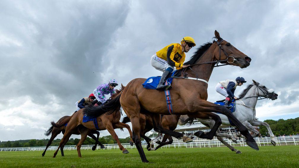 Rosscarbery (yellow) wins the 2022 Munster Oaks