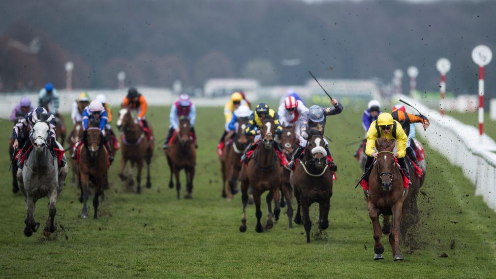 Addeybb (yellow): 2018 Lincoln winner went on to win multiple Group 1s