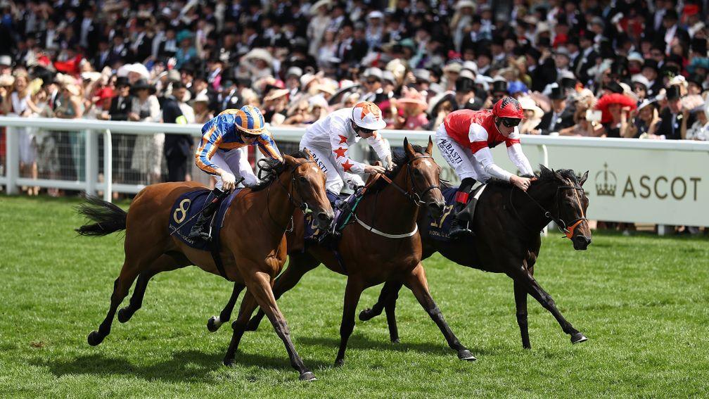 Signora Cabello (centre): the classy two-year-old has ensured a fruitful summer for John Quinn