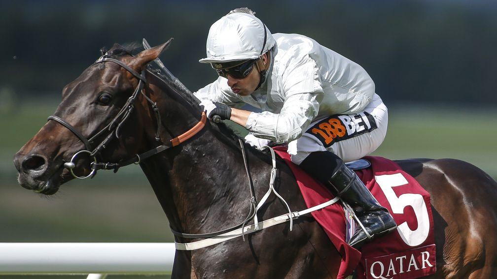 Dee Ex Bee: beaten in the Gordon Stakes but heading to the St Leger