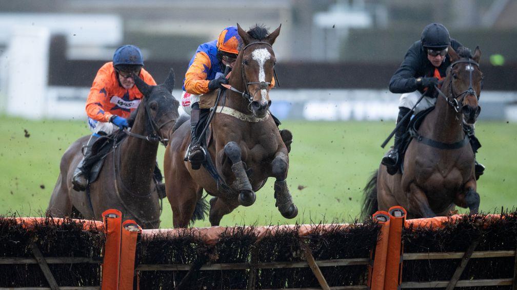 The winner Gericault Roque (Tom Scudamore,left) follows Natural History (Jamie Moore) over the final flight in division 1 on the 2m maiden hurdlePlumpton 13.1.21 Pic: Edward Whitaker/ Racing Post