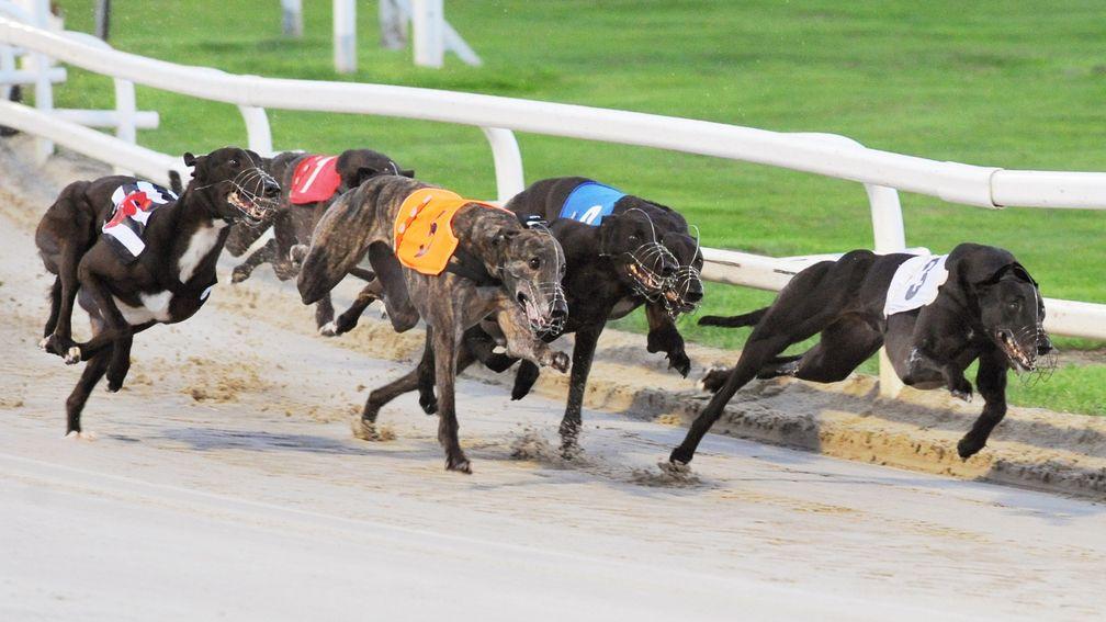 Tuesday's greyhound racing has been cancelled