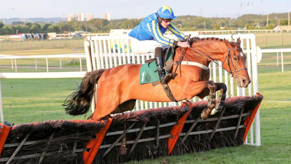 High Jinx: bids for a novice hurdle hat-trick at Market Rasen on Saturday evening