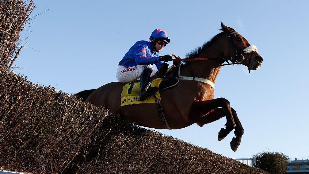 Cue Card: will try and win the Betfair Ascot Chase for a third time