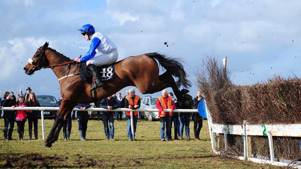 Horse racing: Warendorf, seen here winning his point-to-point at Belclare in March