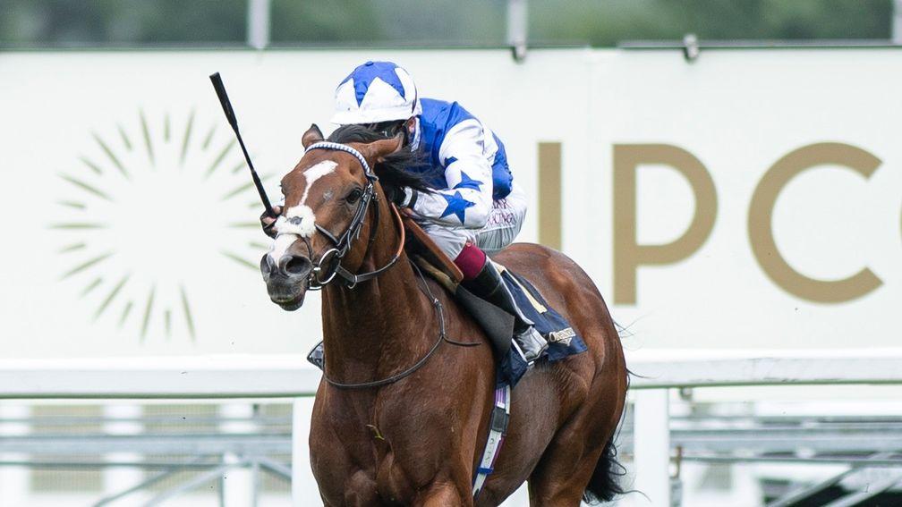 Alounak shows his appreciation of an easy surface when chasing home Fanny Logan in the Hardwicke Stakes at Royal Ascot