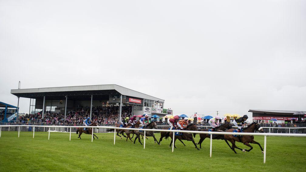 Roscommon: and Fairyhouse stage racing on Monday