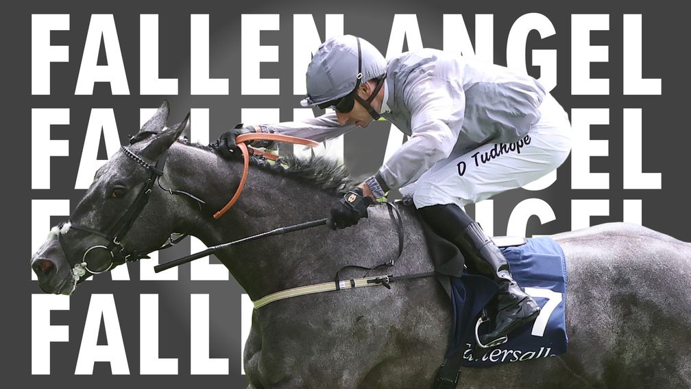 Fallen Angel: one of 11 entries in the Duke of Cambridge Stakes