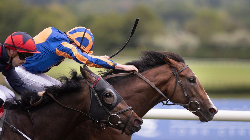 Pistoletto: War Front colt is unbeaten in two starts for Aidan O'Brien