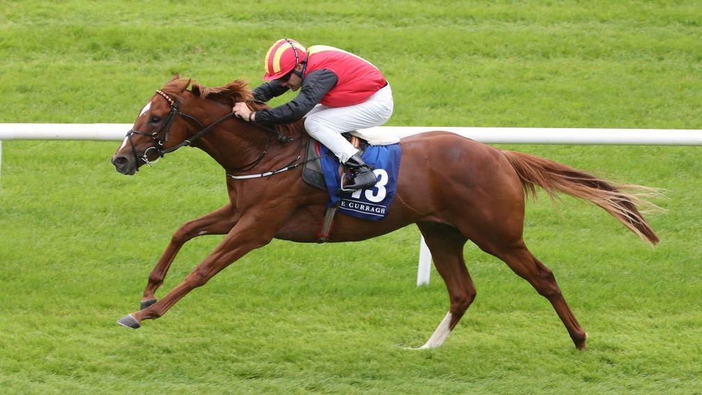 New Energy: sole win from five starts came in a Curragh maiden on debut last September